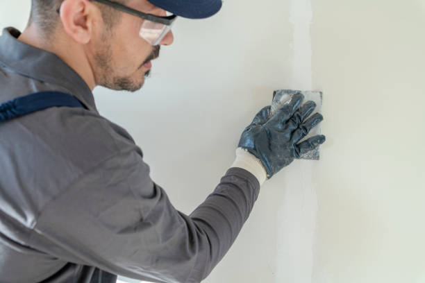 Best Drywall Crack Repair  in Ixonia, WI